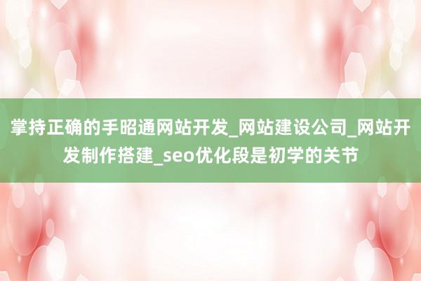 掌持正确的手昭通网站开发_网站建设公司_网站开发制作搭建_seo优化段是初学的关节